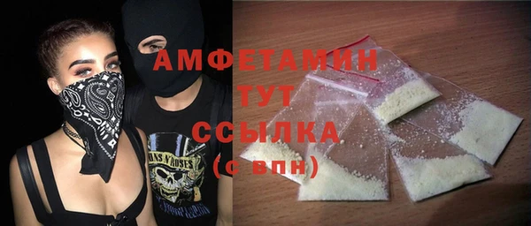 хмурый Аркадак