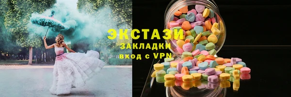 хмурый Аркадак