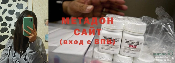хмурый Аркадак