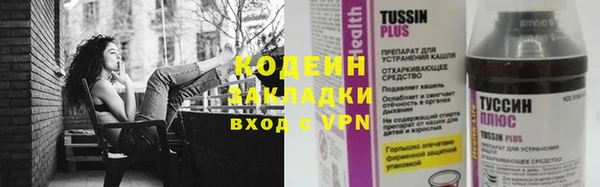 хмурый Аркадак