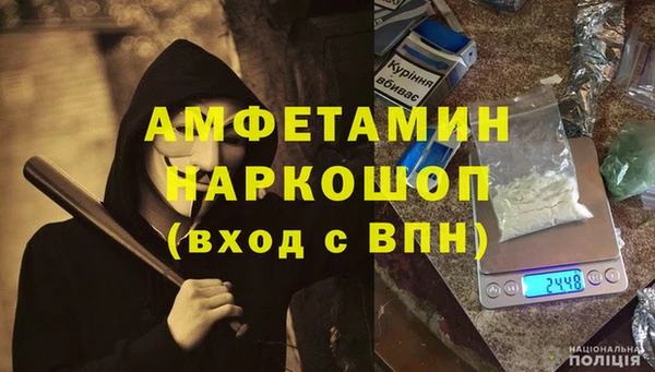 хмурый Аркадак