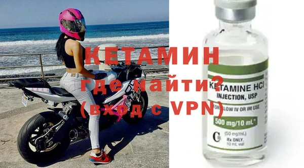 хмурый Аркадак