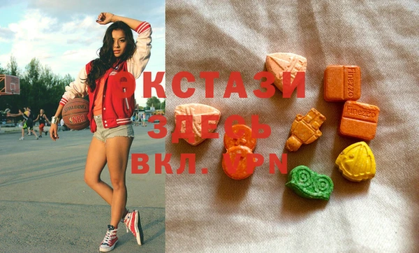хмурый Аркадак
