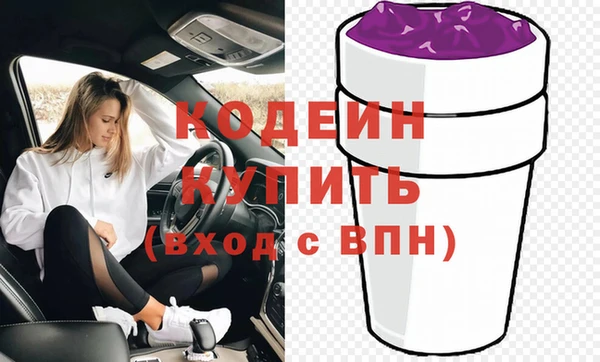 хмурый Аркадак