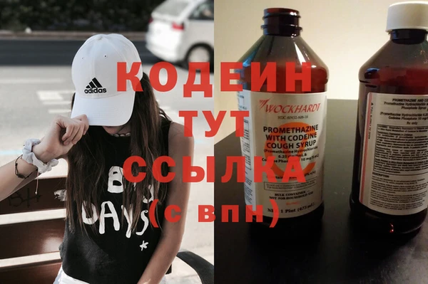 хмурый Аркадак