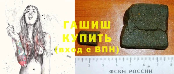 хмурый Аркадак