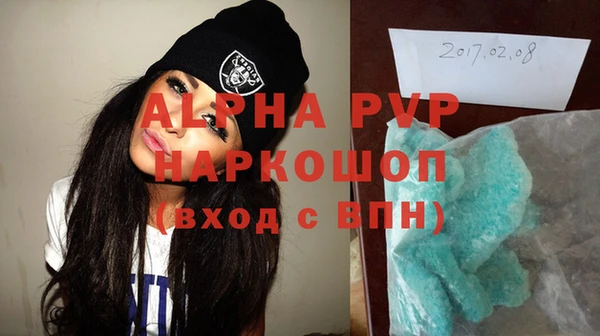 хмурый Аркадак