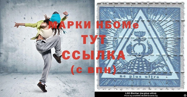 хмурый Аркадак
